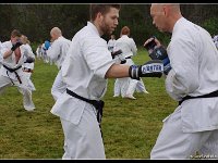 2017-06-29 462-border